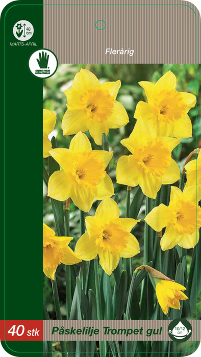 Grønne Fingre® blomsterløg 'Narcissus Yellow' 40 stk.